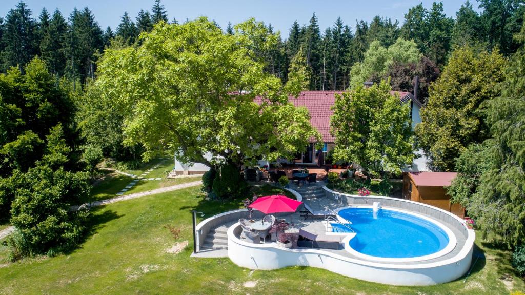 The owner's swimming pool in the garden