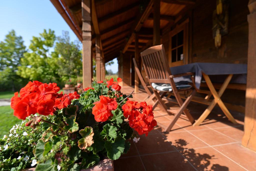 Geraniums on the porch beside the outdoor dining table