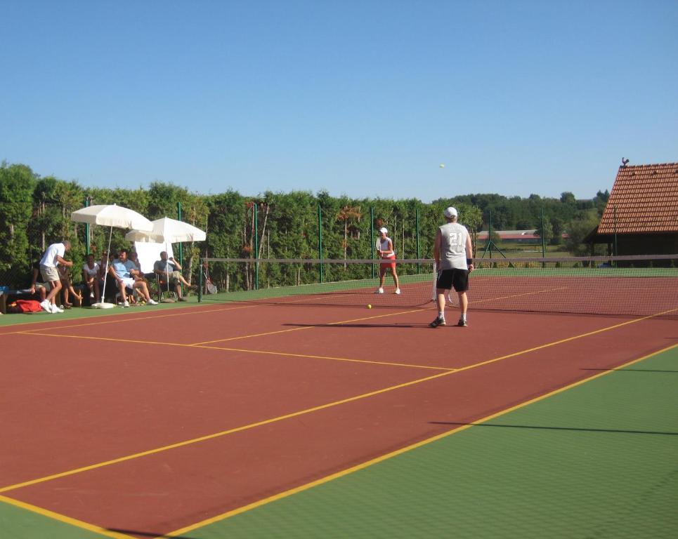 The Courts